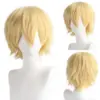 wig